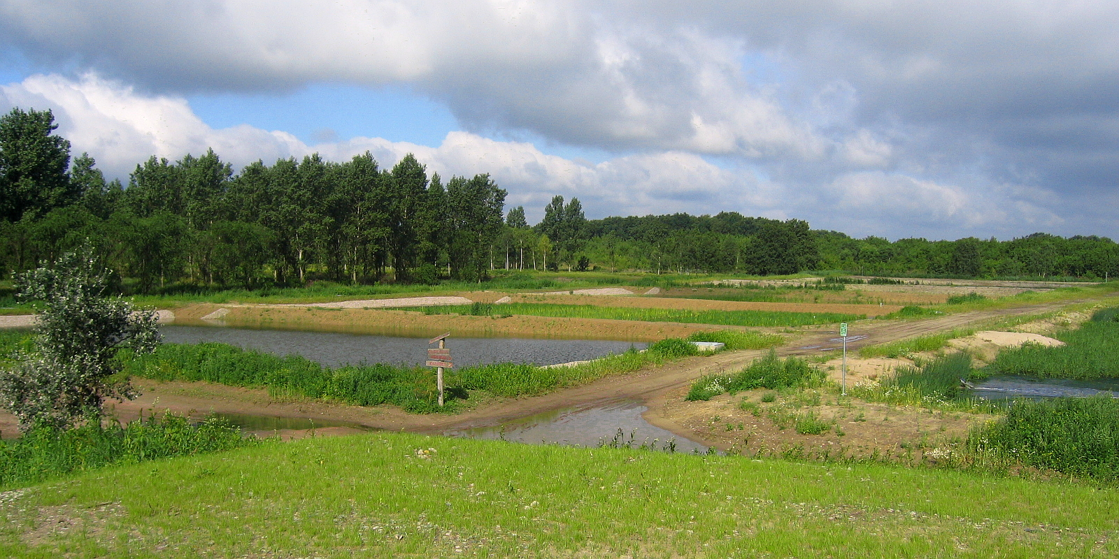 Rieselfelder in Hobrechtsfelde