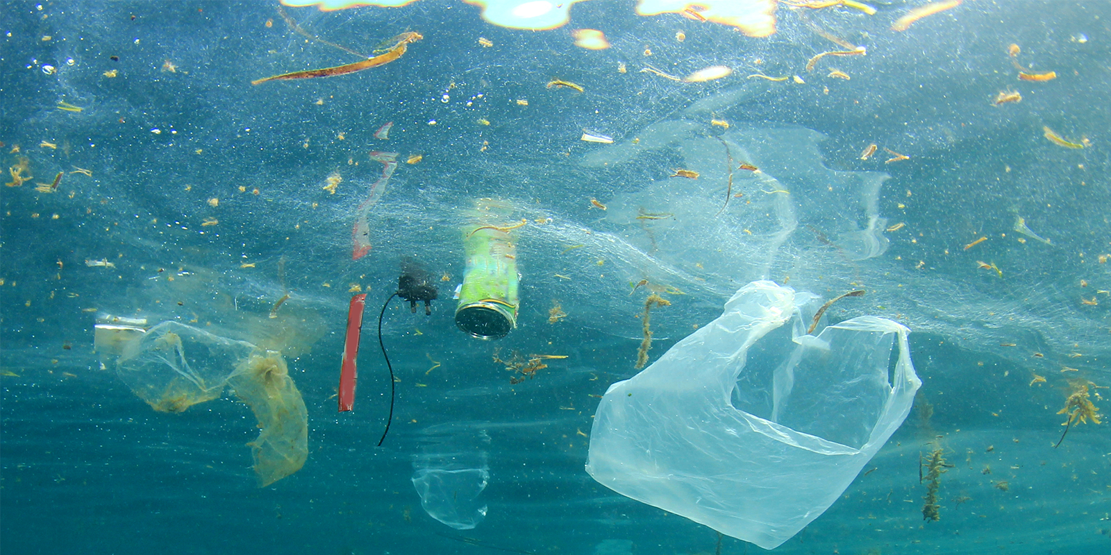 Plastikabfälle schwimmen im Meer