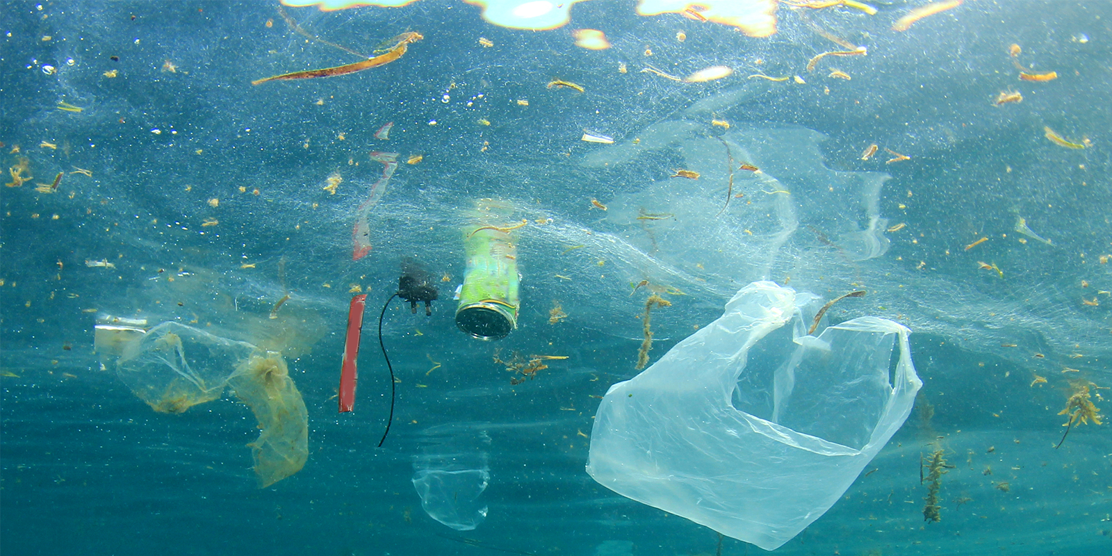 Plastik schwimmt im Meer