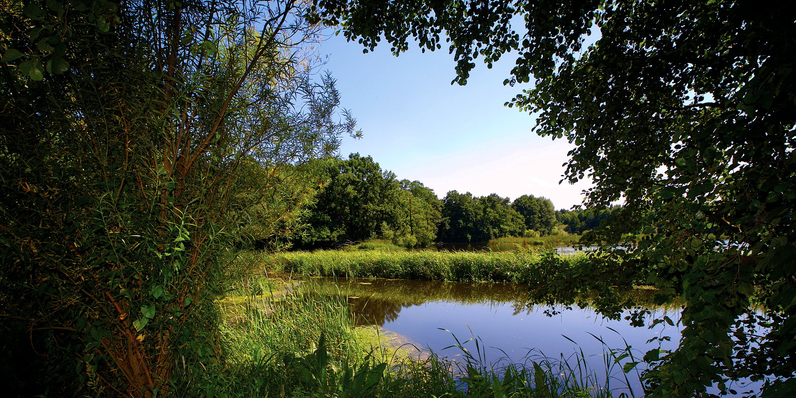 Blick auf See