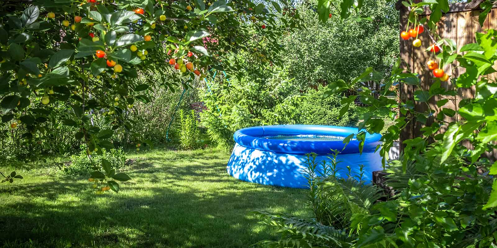 Ein blauer Swimmingpool steht in einem Garten