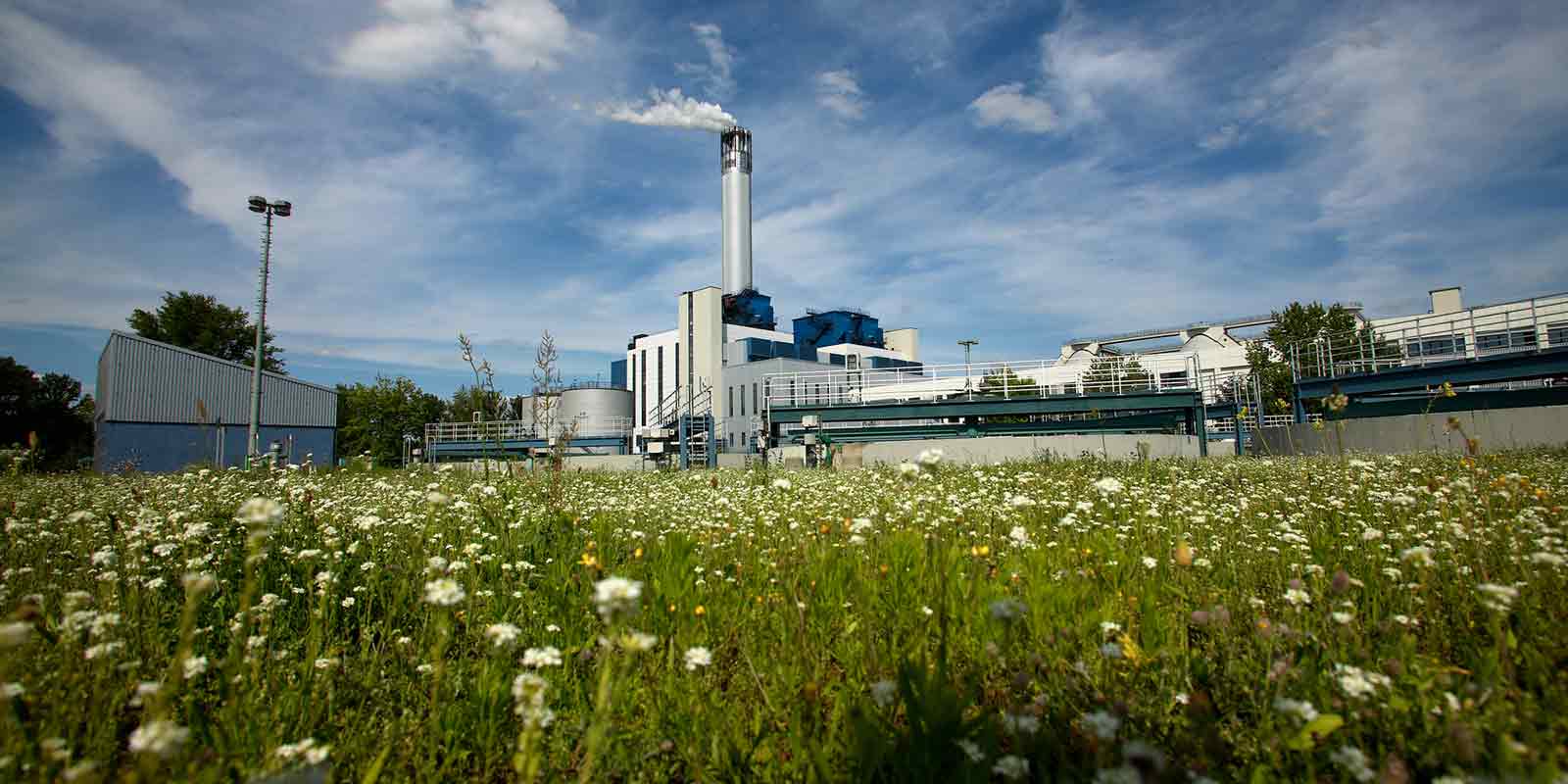 Sicht auf das Klärwerk Ruhleben