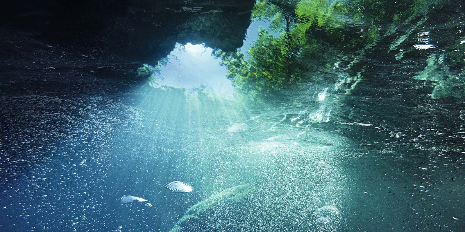 grün-blaues Wasser von unter Wasser fotografiert