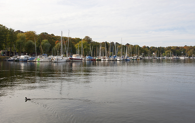 Teaser Großer Wannsee