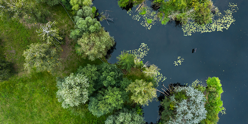 Ein Fluss schlängelt sich durch die Landschaft mit Wiesen und Bäumen
