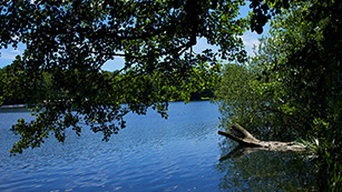 Badegewässer