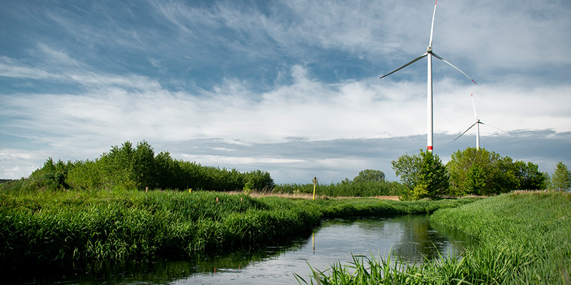 Ein Fluss schlängelt sich durch die Landschaft mit Wiesen und Bäumen
