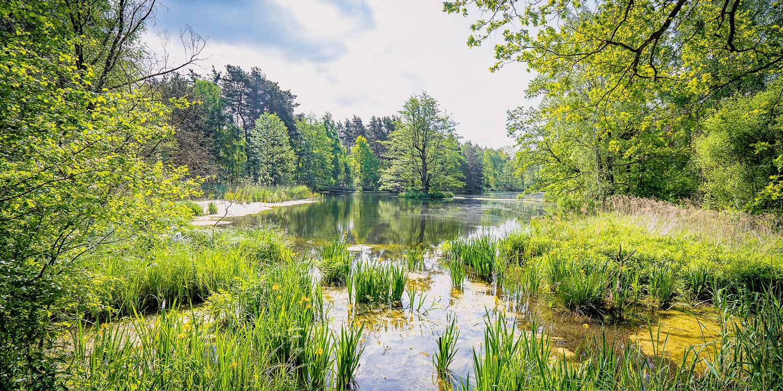 Blick auf die Spandauer Kuhlake