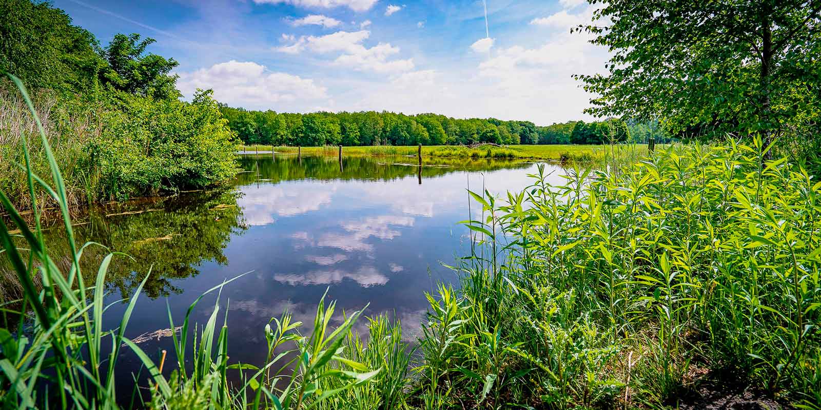 Blick auf die Kuhlake